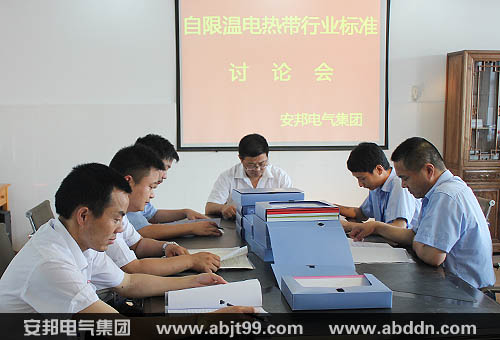 91影视看片APP下载集團召開自限溫電91看片看淫黄大片帶國家標準研討會(圖1)