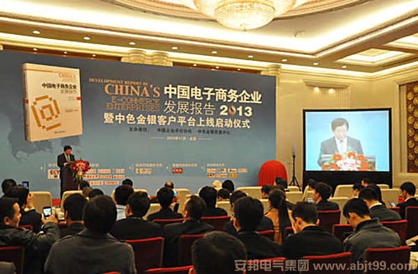 91影视看片APP下载電氣應邀參加我國首部電子商務企業發展報告出版發行會(圖1)