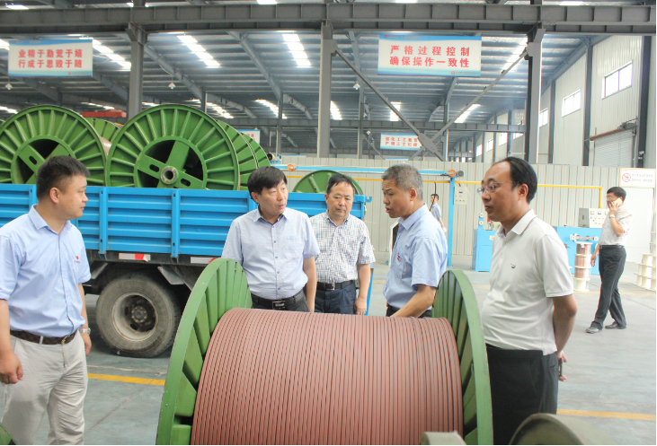 市委副書記賀家平蒞臨91影视看片APP下载視察調研(圖1)