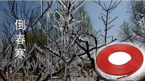 電91看片看淫黄大片帶應對倒春寒