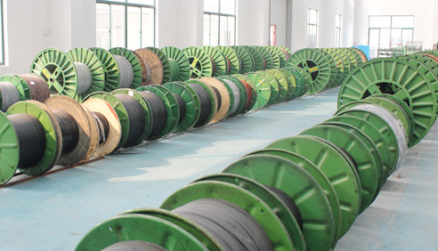 什麽是電91看片看淫黄大片係統今後發展的方向？(圖1)