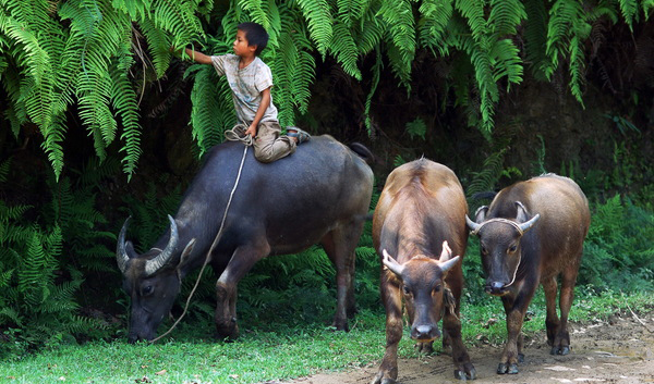 立誌當立天下誌，求名當求萬世名(圖1)