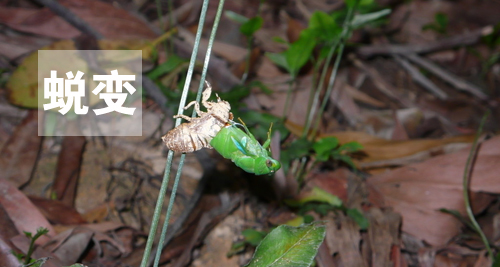 用心感受世界，因活著而幸福(圖4)