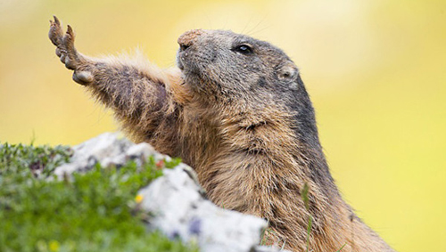 為何不堅持你的夢想一路走下去(圖5) 為何不堅持你的夢想一路走下去(圖5)