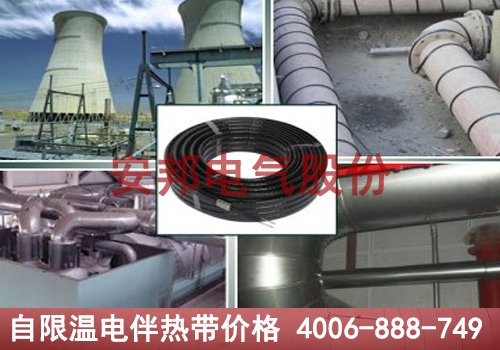 自限溫電91看片看淫黄大片帶價格揭秘