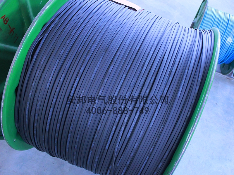 太陽能電91看片看淫黄大片帶