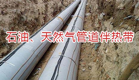 石油天然氣管道91看片看淫黄大片帶