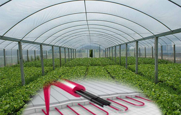 植物栽培電91看片看淫黄大片帶保溫促生長