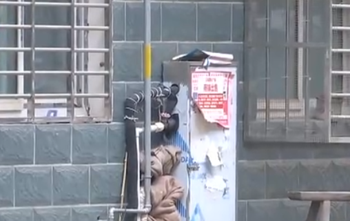 自來水管道保溫電91看片看淫黄大片帶，冬季管道防凍新寵(圖2)
