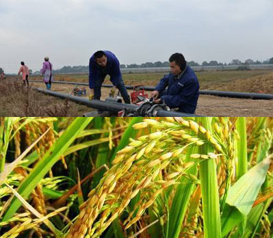 灌溉防凍電91看片看淫黄大片