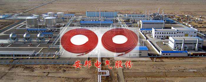 塔裏木油田電91看片看淫黄大片天然氣防結露係統(圖1)