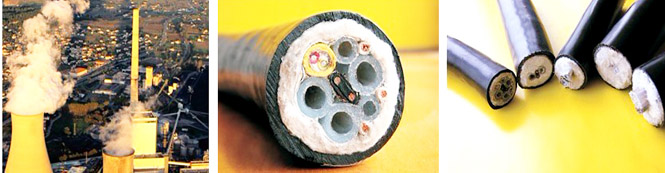 多芯電91看片看淫黄大片采樣複合管(圖1)