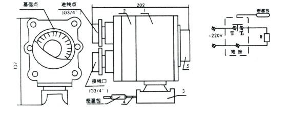 電91看片看淫黄大片BJW51防爆溫度控製器(圖2)