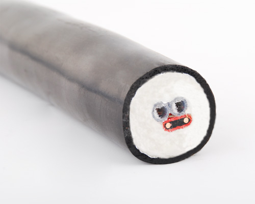 CEMS電廠煙氣采樣複合管溫控安裝說明(圖1)