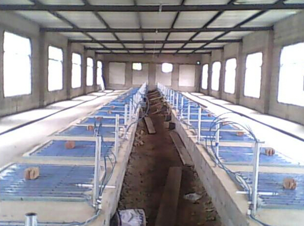 91影视看片APP下载集團發熱電纜用於養殖場保溫室采暖安裝示意圖(圖1)