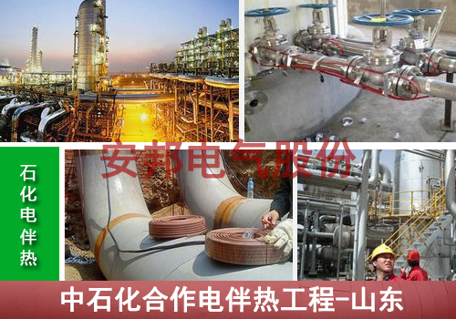 中石化石油管道電91看片看淫黄大片工程（山東日照）