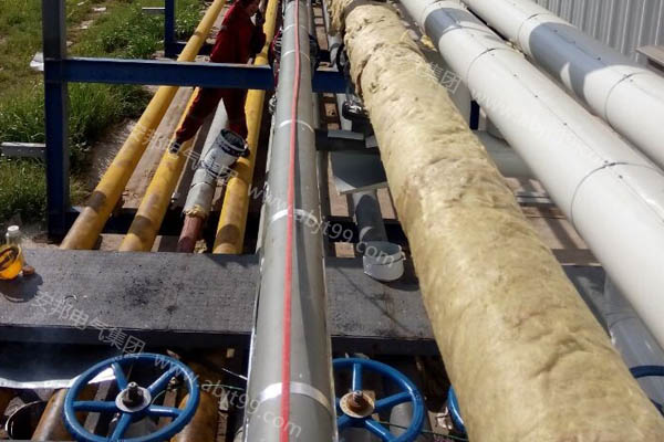 京糧集團高空糧油管道采用我公司電91看片看淫黄大片保溫項目